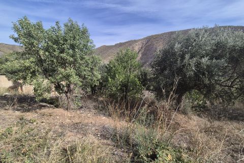 Landejendom i Cantoria, Almeria, Cantoria - € 69.000 | Ref: Casa Nispolero - foto 31